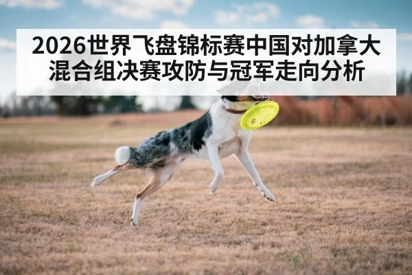 frisbee player catching disc in air
