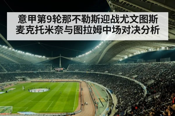 serie a football stadium night
