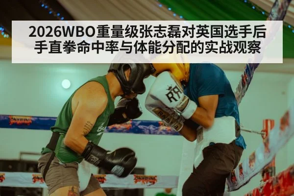 boxing match punch
